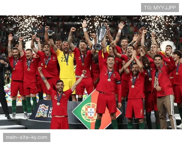 里尔法甲战术纪律典范 葡萄牙教练体系下的整体足球